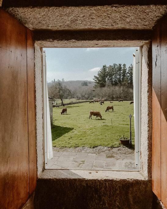 Casa Do Cuco - Rural House Hotel Friol Exterior photo