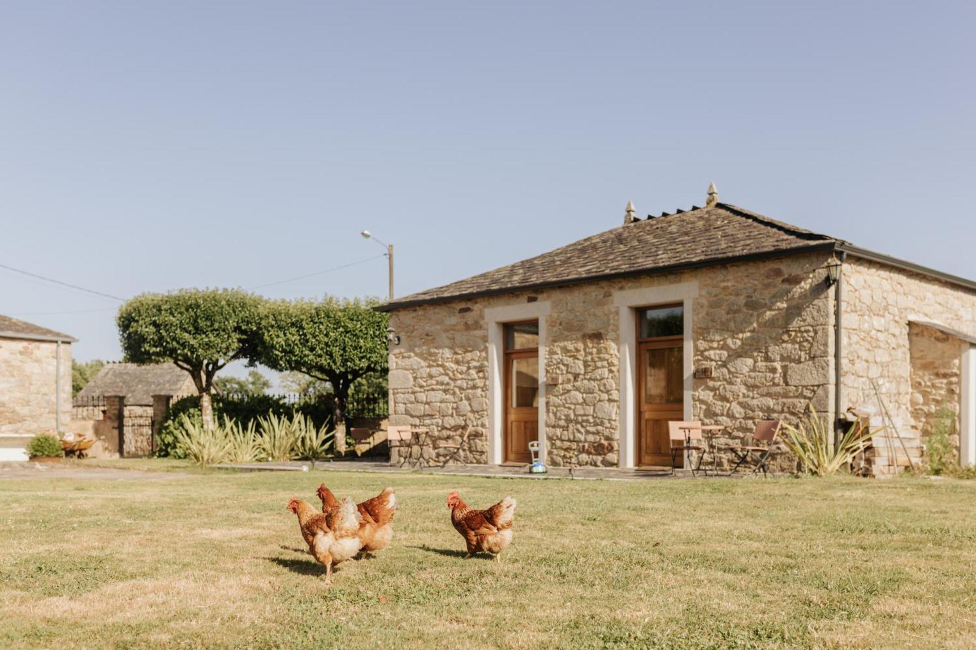Casa Do Cuco - Rural House Hotel Friol Exterior photo